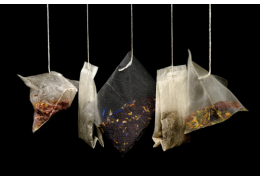 Właściwości zdrowotne zielonej herbaty: Od EGCG po L-teaninę. Co warto wiedzieć?